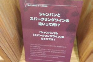 山梨ワイン王国