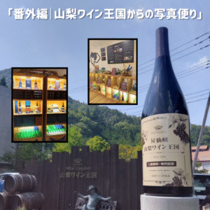 山梨ワイン王国からの 写真頼り